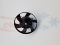 00393_0,070 kg   .jpg