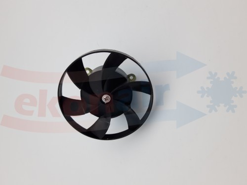 00393_0,070 kg   .jpg