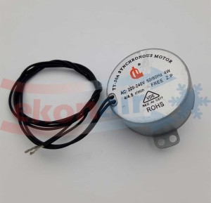 Nortes swing electric motor