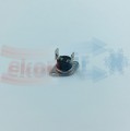 NEC_00014.1.jpg
