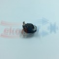 NEC_00709.2.jpg