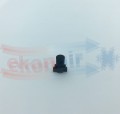 NOC_00106.jpg