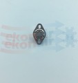NOC_00685.jpg