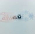 NOC_00906.3.jpg