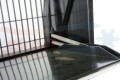 DSC00611_small.jpg