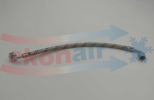 NOC_00701.jpg
