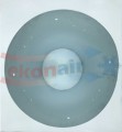 NOC_00890.2.jpg